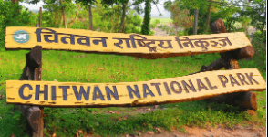 चितवन राष्ट्रिय निकुञ्ज