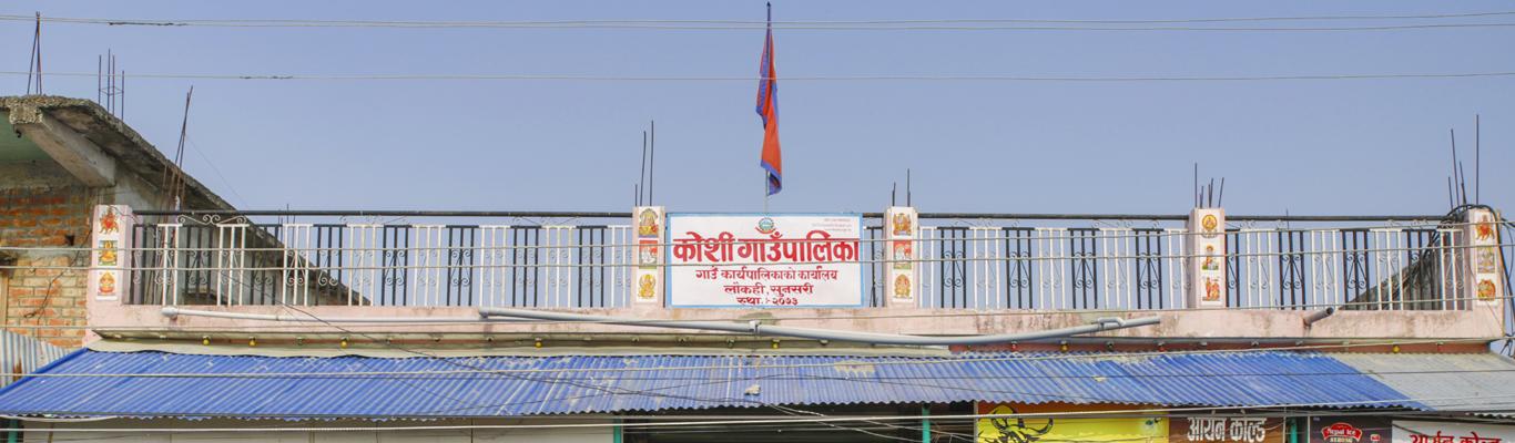 कोशी गाउँपालिका