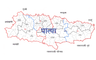 पाल्पा