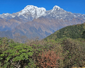 अन्नपूर्ण संरक्षण क्षेत्र