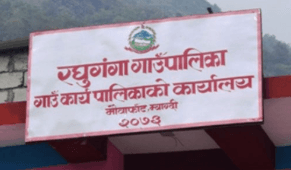 रघुगंगा गाउँपालिका