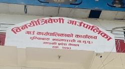 विनयी त्रिवेणी गाउँपालिका