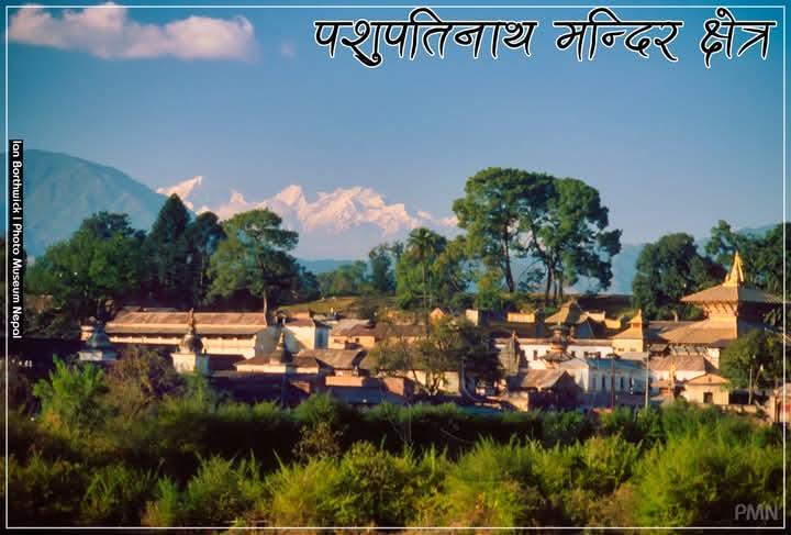 Story Image