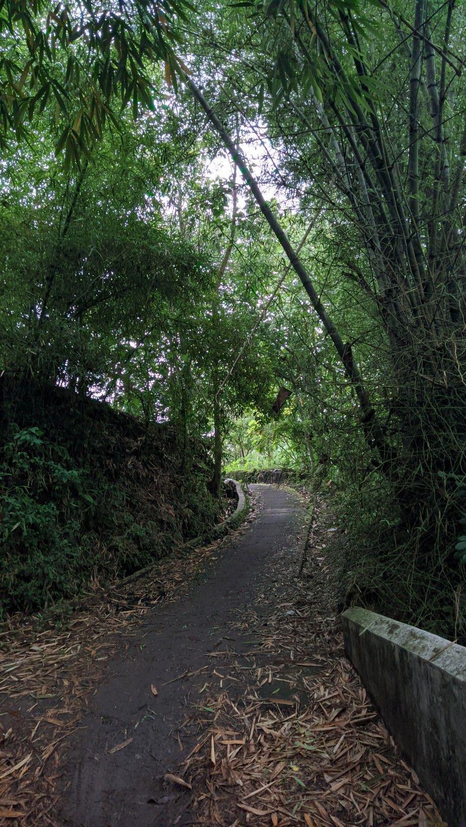Story Image