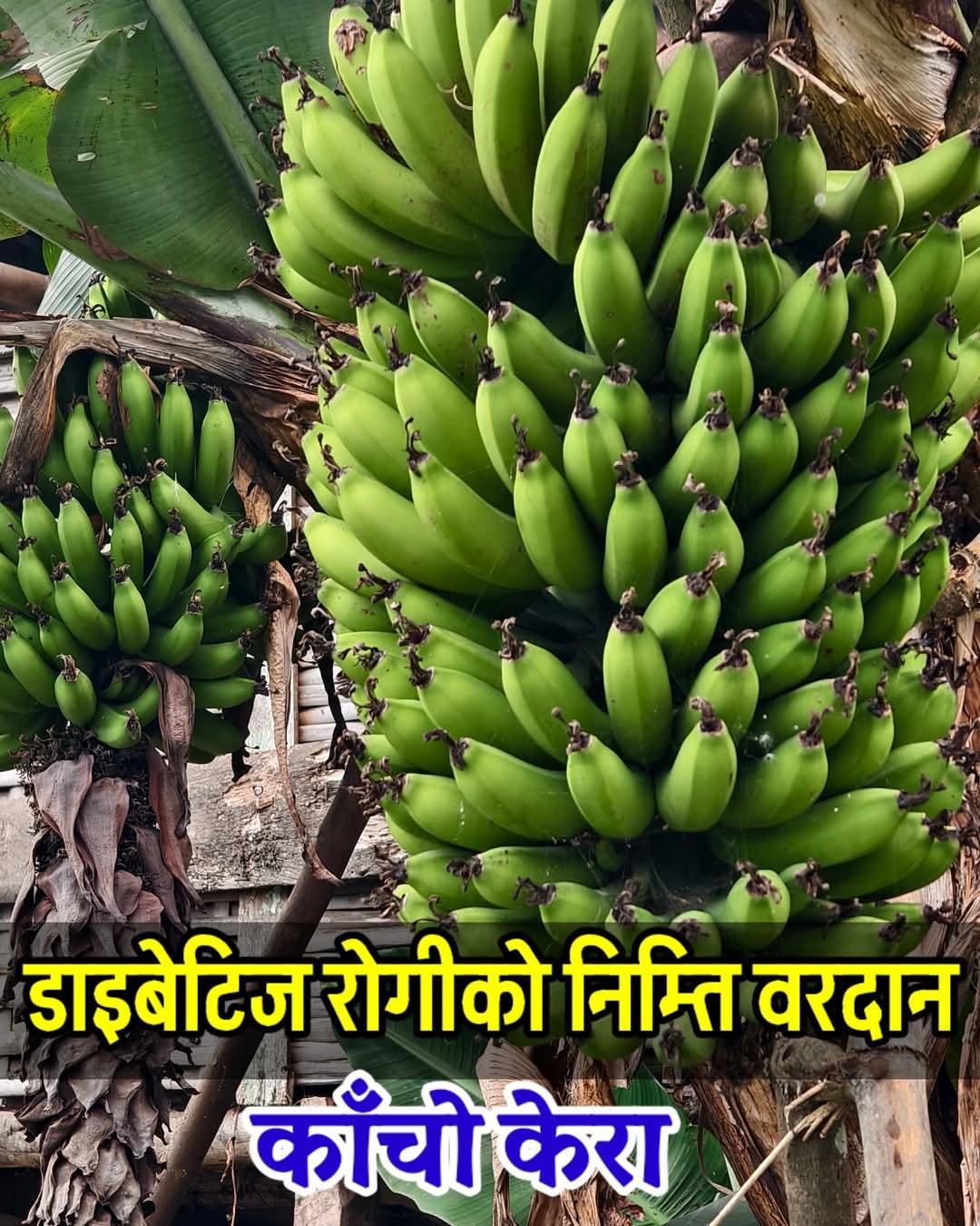Story Image