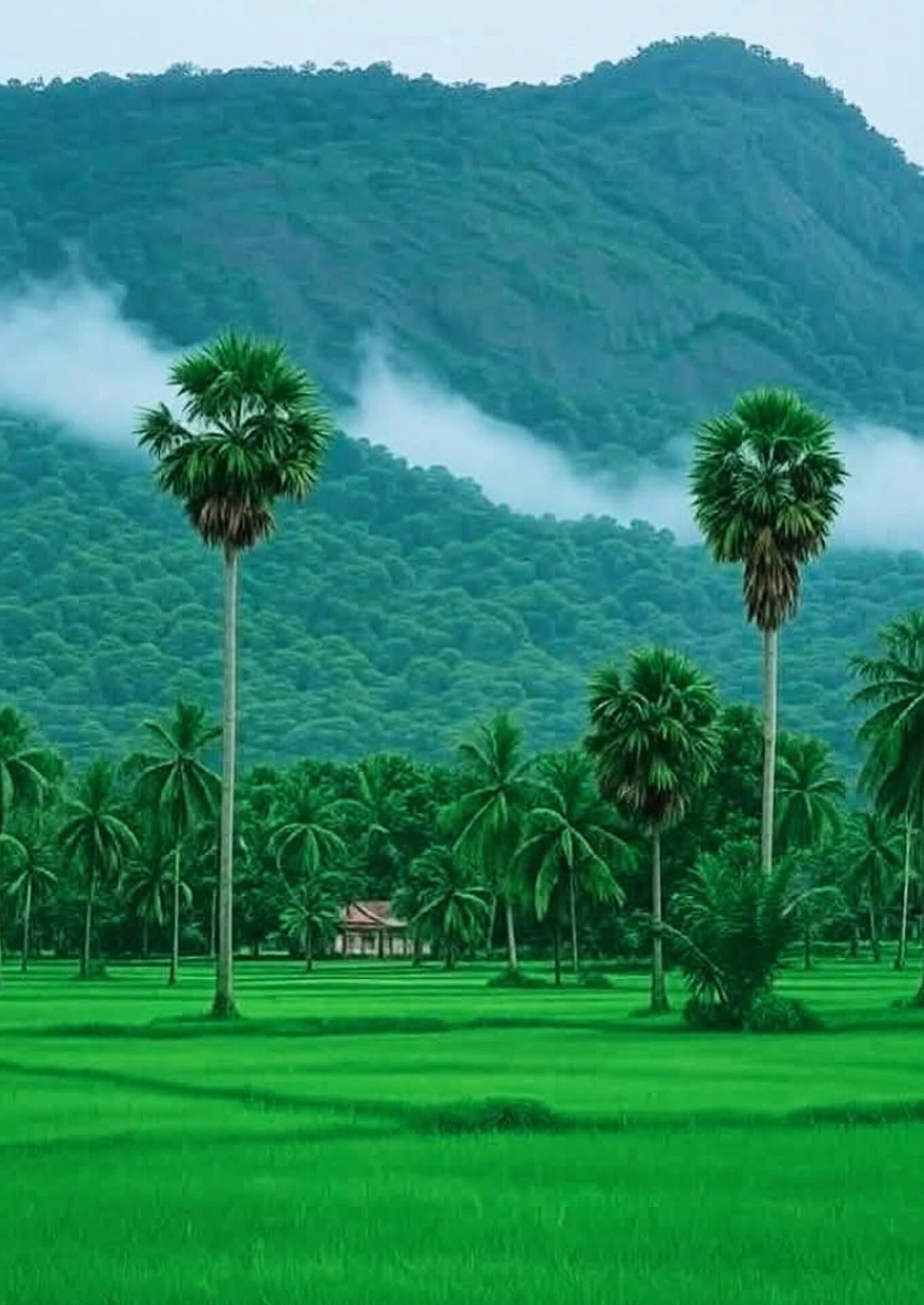 Story Image