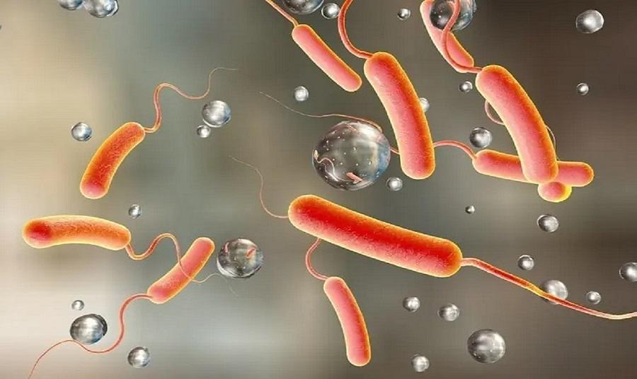बागलुङमा खानेपानी प्रदूषण बढ्दो: गत वर्षभन्दा धेरै मुहानमा कोलिफर्म पुष्टि