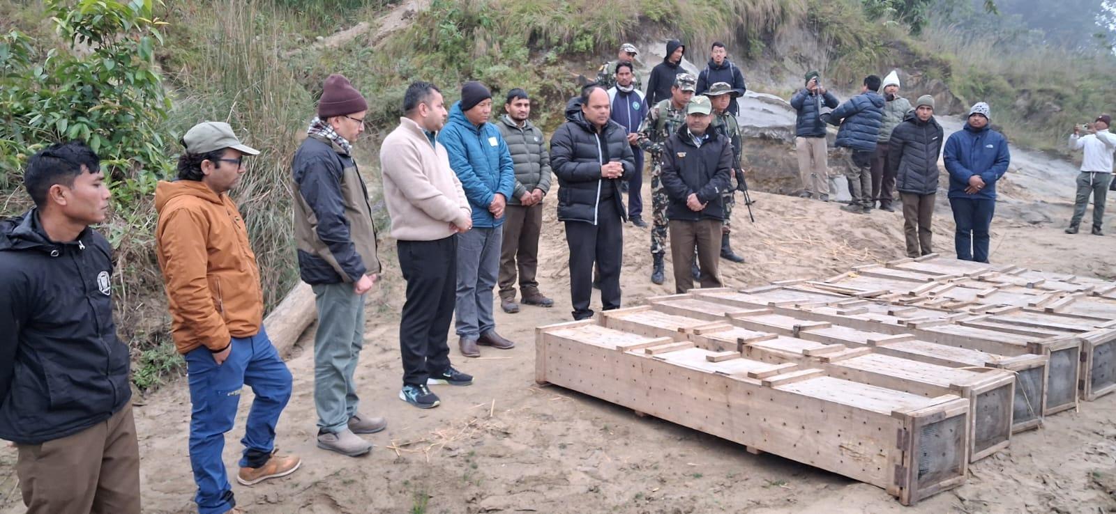 १० वटा घडियाल गोही प्राकृृतिक बासस्थानमा छाडियो