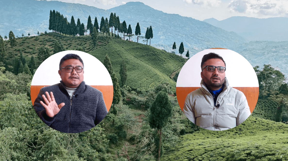 चिया निर्यात कार्यविधिविरुद्ध चिया उद्योगी चिन्तित : हजारौँ किसान र मजदुर जोखिममा
