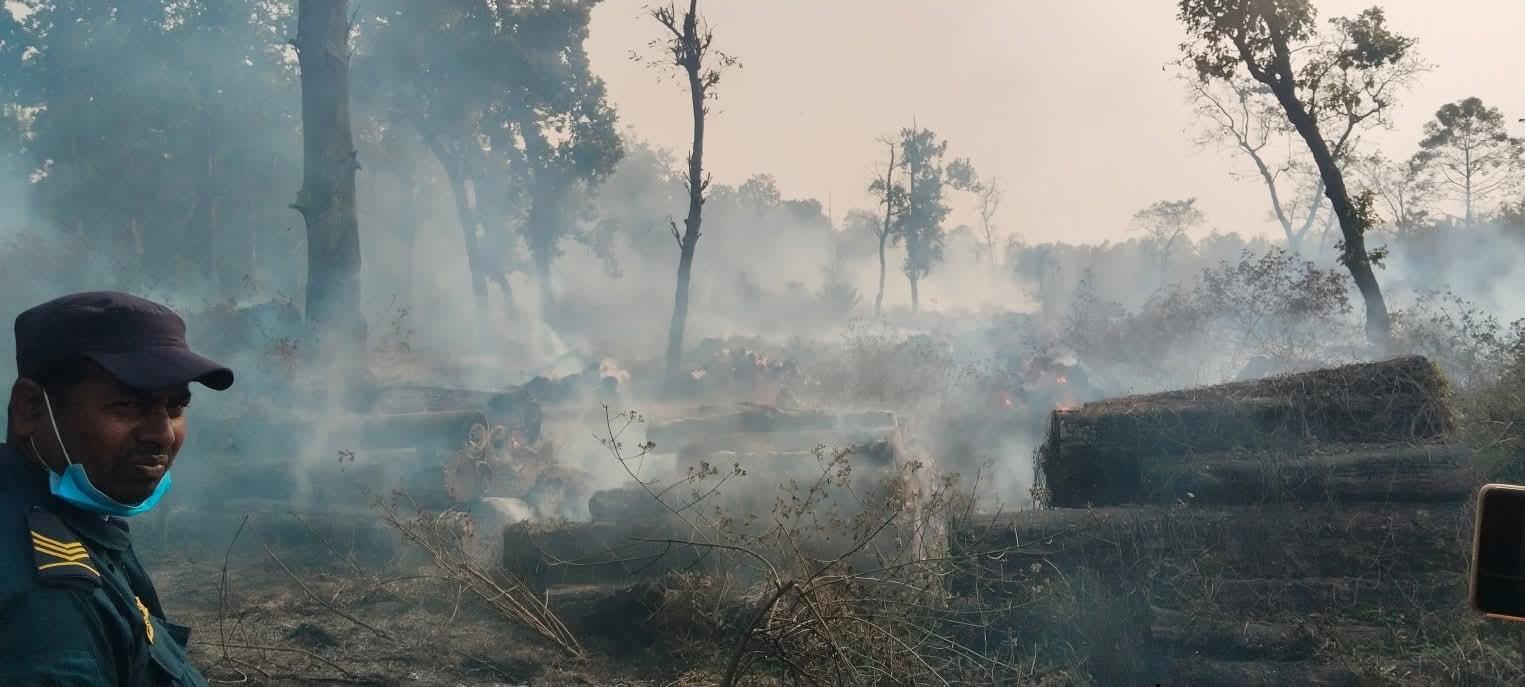 रौतहटको नमुना सामुदायिक वनमा आगलागीः १ करोड बढीको काठ नष्ट