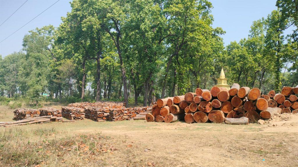 सुदूरपश्चिमको वन मन्त्रालयमा एकपछि अर्को काण्ड, भ्रष्टाचार र विवाद चुलिँदै