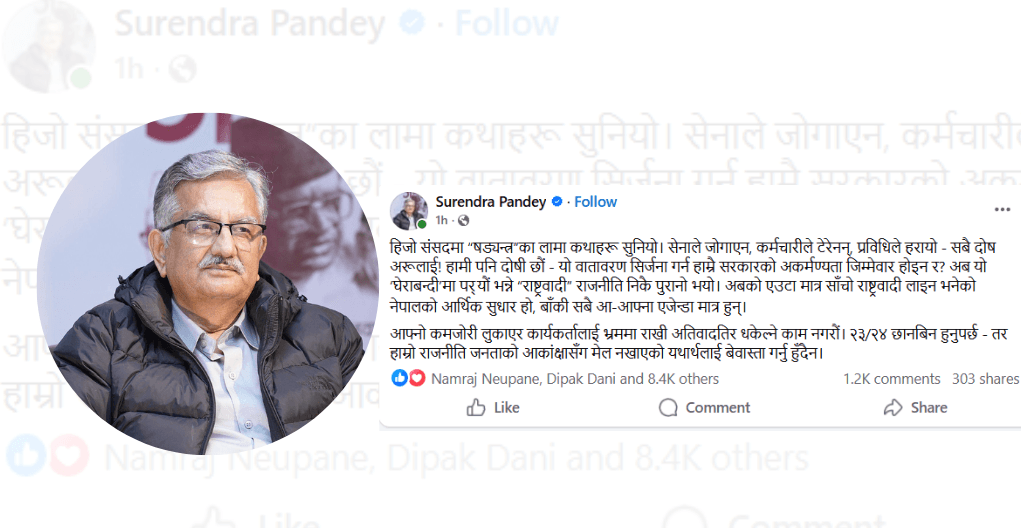 बादलको अभिव्यक्तिप्रति पाण्डेको आपत्ति, सरकारको अकर्मण्यता स्वीकार्न आग्रह