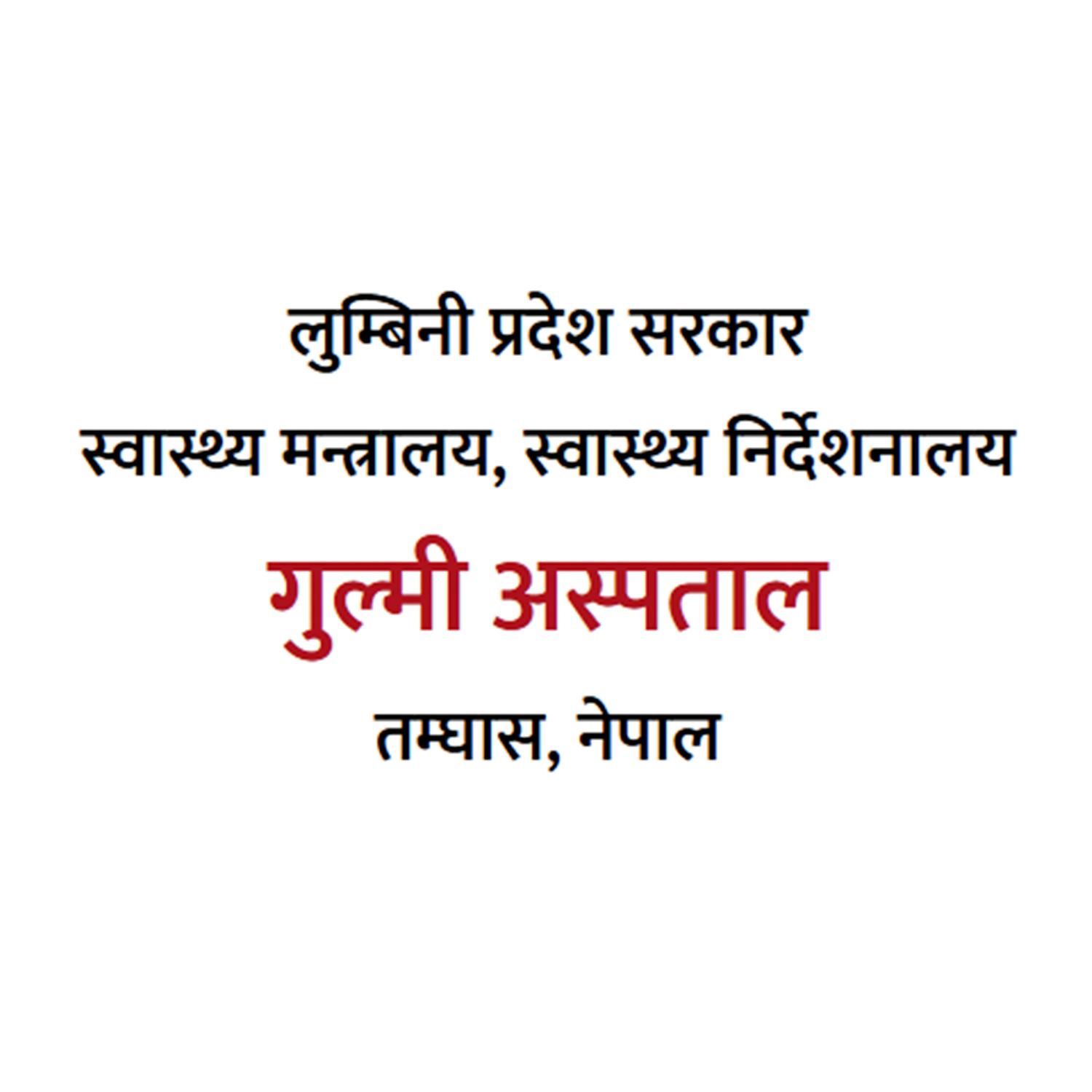 गुल्मी अस्पताल