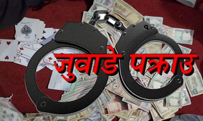 जुवातास खेलिरहेको अवस्थामा १०९ जना पक्राउ