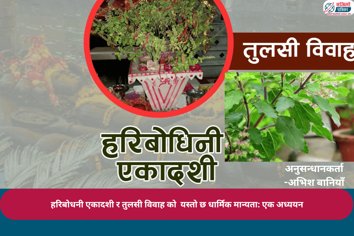 हरिबोधनी एकादशी र तुलसी विवाह को यस्तो छ धार्मिक मान्यता: एक अध्ययन