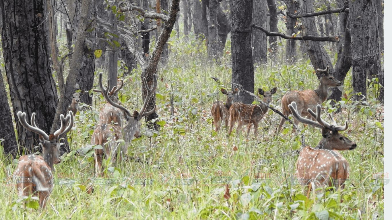 छ महिनामा दुई हजार छ सय पर्यटकले गरे शुक्लाफाँटा भ्रमण