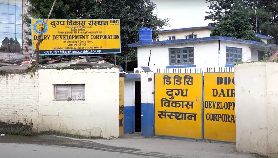 प्रधानमन्त्रीको स्टाटसपछि डीडीसी चिजको माग ह्वात्तै बढ्यो